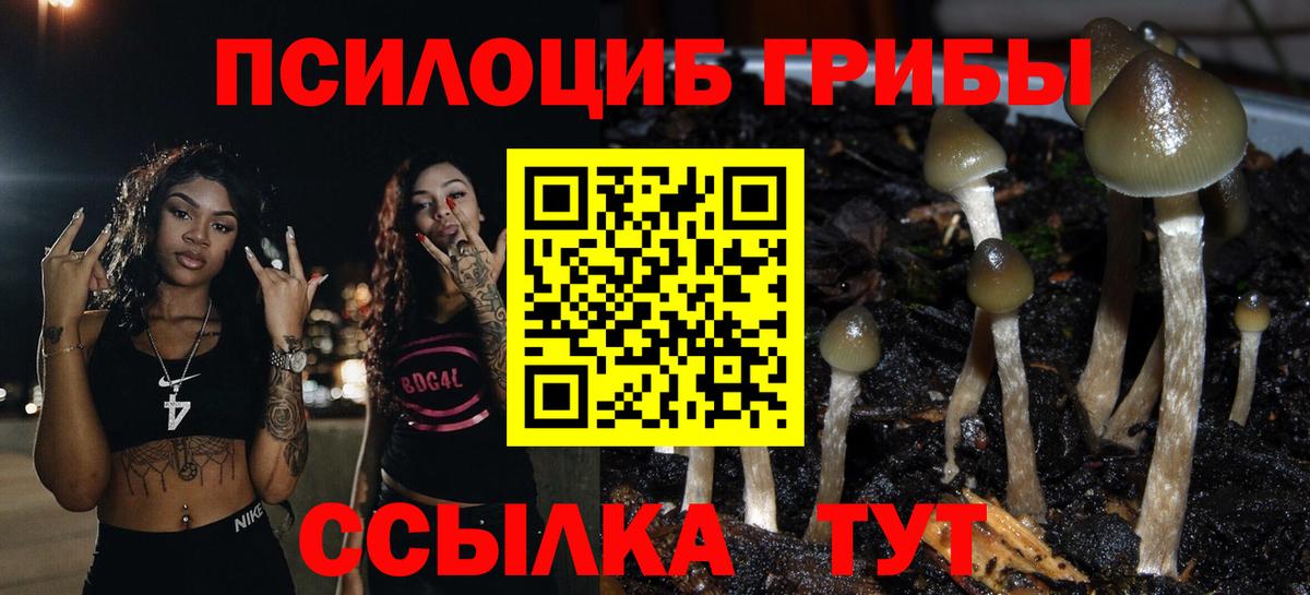 Псилоцибиновые грибы GOLDEN TEACHER Новочебоксарск